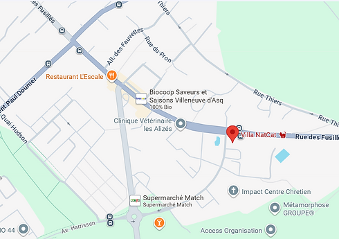 Villa NatCat Pension chat Lille