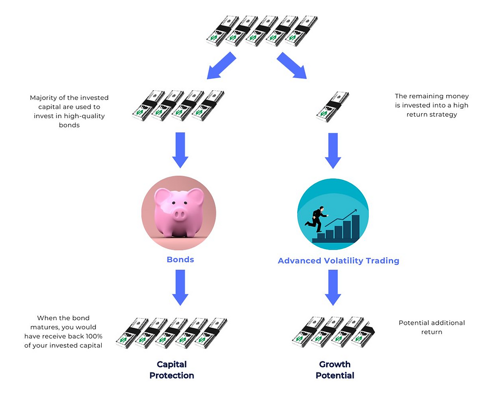 Capital Protected Portfolio Structure