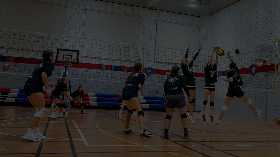 volley-img-1_edited.jpg
