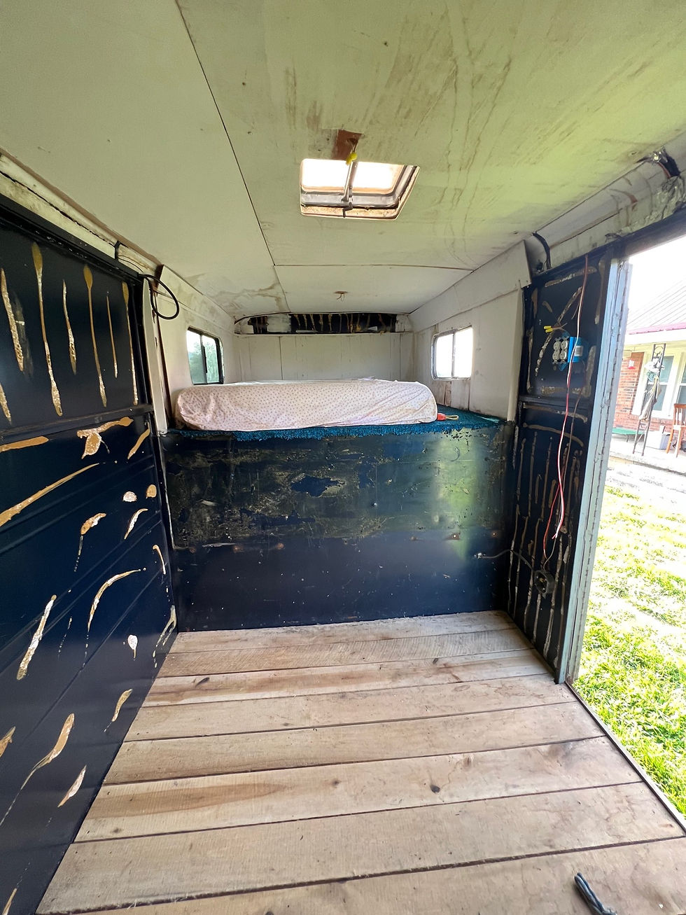 Thumbnail: Big Valley Horse Trailer 