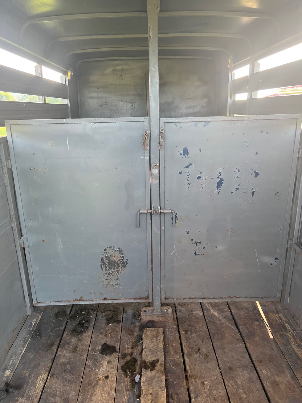 Thumbnail: Big Valley Horse Trailer 