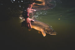 Canada Fishing