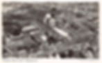 HC22732-1.jpg