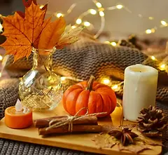 falldesign_600x600.webp