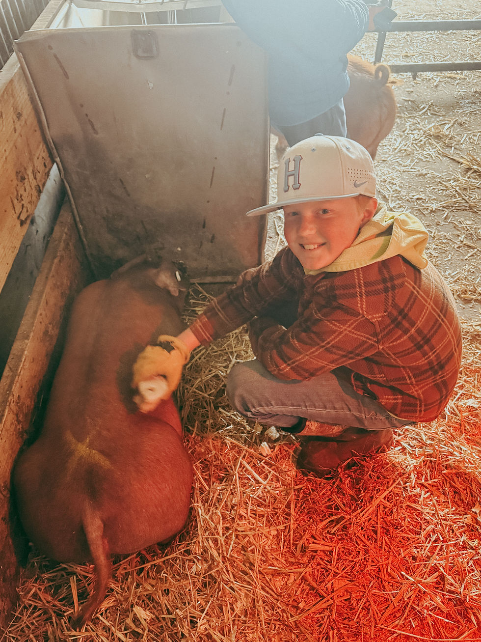 Logan + Peppa