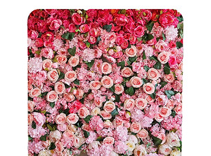 Atlas Rose Backdrop