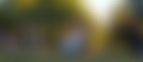 Leading for Belonging: A Wellness & Leadership Retreat on November 25th in Brooklyn, NY.