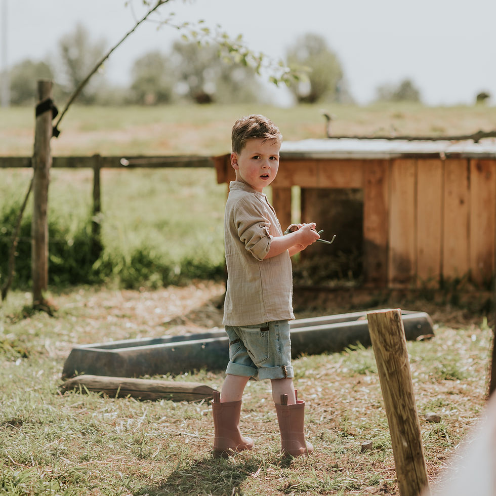 Thumbnail: N58861 Koko Noko grey jean shorts