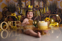 Professional baby photographer in Wolverhampton capturing milestone celebrations