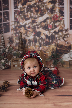 Christmas mini session 2017
