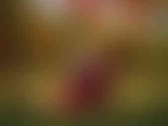 whimsical outdoor photography in Wolverhampton