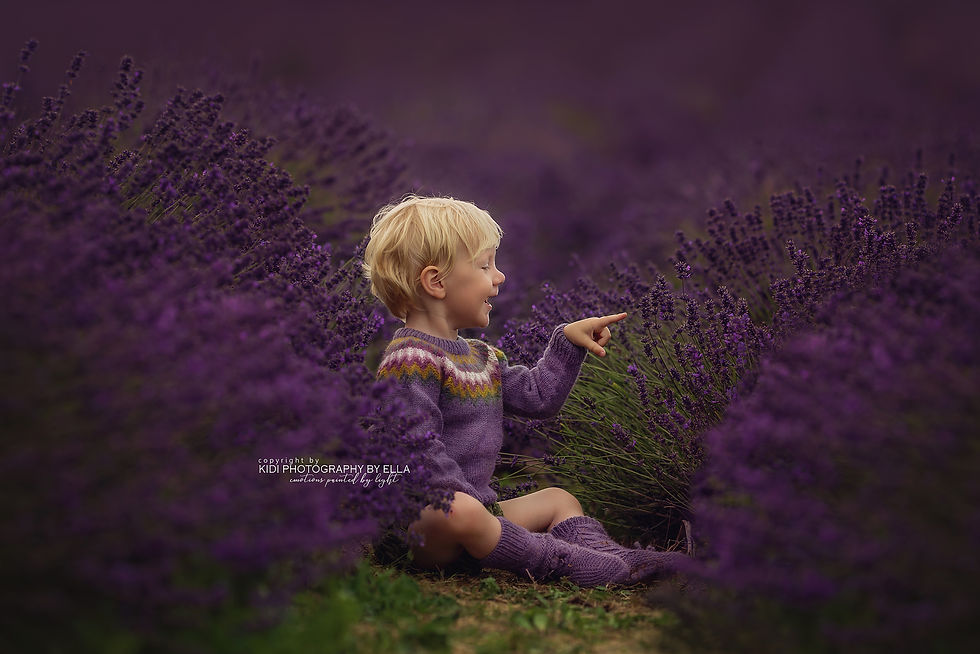 Little boy touching lavender flowers – children’s portraits Birmingham