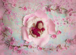 Newborn Photographer Walsall