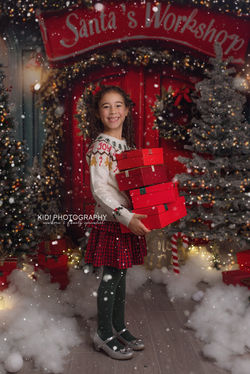 Elegant Christmas baby session with red and gold decor