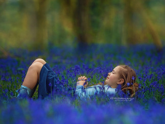 Little boy exploring a magical bluebell forest during mini session