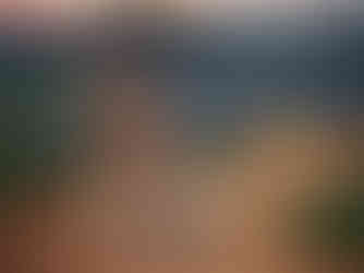 Fine art outdoor family portrait surrounded by nature