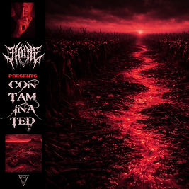 Haine - Contaminated.jpg