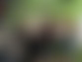 Flowers, Culture, and Leadership: A Valentine’s Reflection