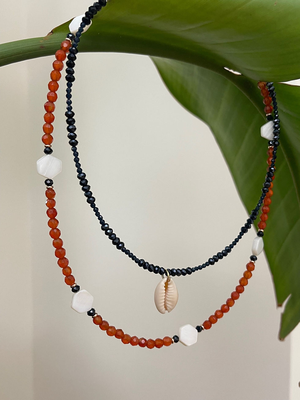 Miniatura: Collana Amazzonia 