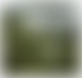 EXCELLENTE ANNEE 2023, positive, audacieuse et engagée