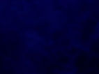JoiedeVivre Blue Backdrop.JPG