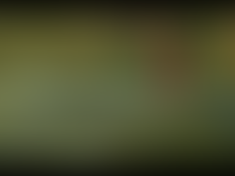 Jenefer a-t-elle retrouvé des terres ? Elle nous raconte 