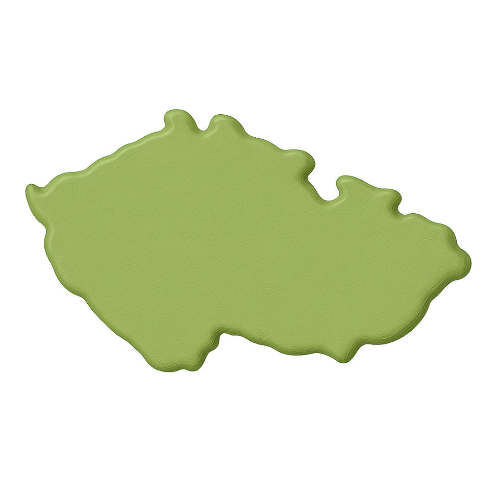 image 215