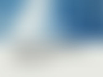 O ARQUITETO DO SILÊNCIO