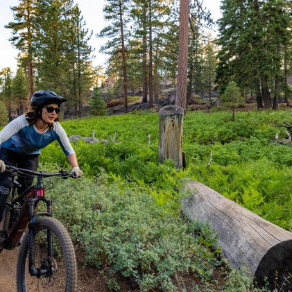 Big Bear Mountain Biking