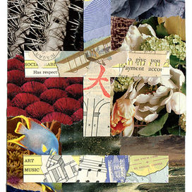 Collage of various images of nature overlayed with images forming a plus sign and a minus sign