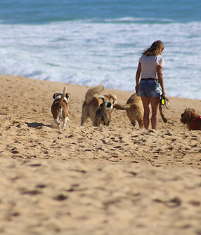 Image by <a href="https://pixabay.com/users/inonoyazy-15292329/?utm_source=link-attributio