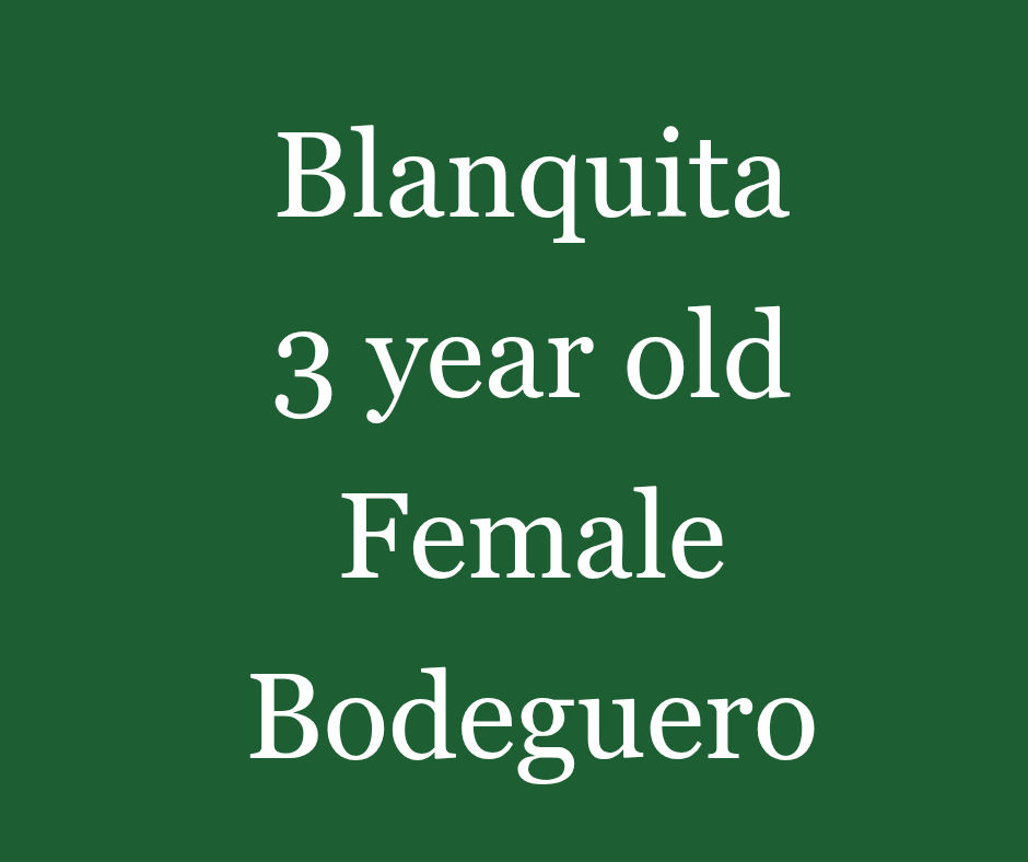 Blanquita