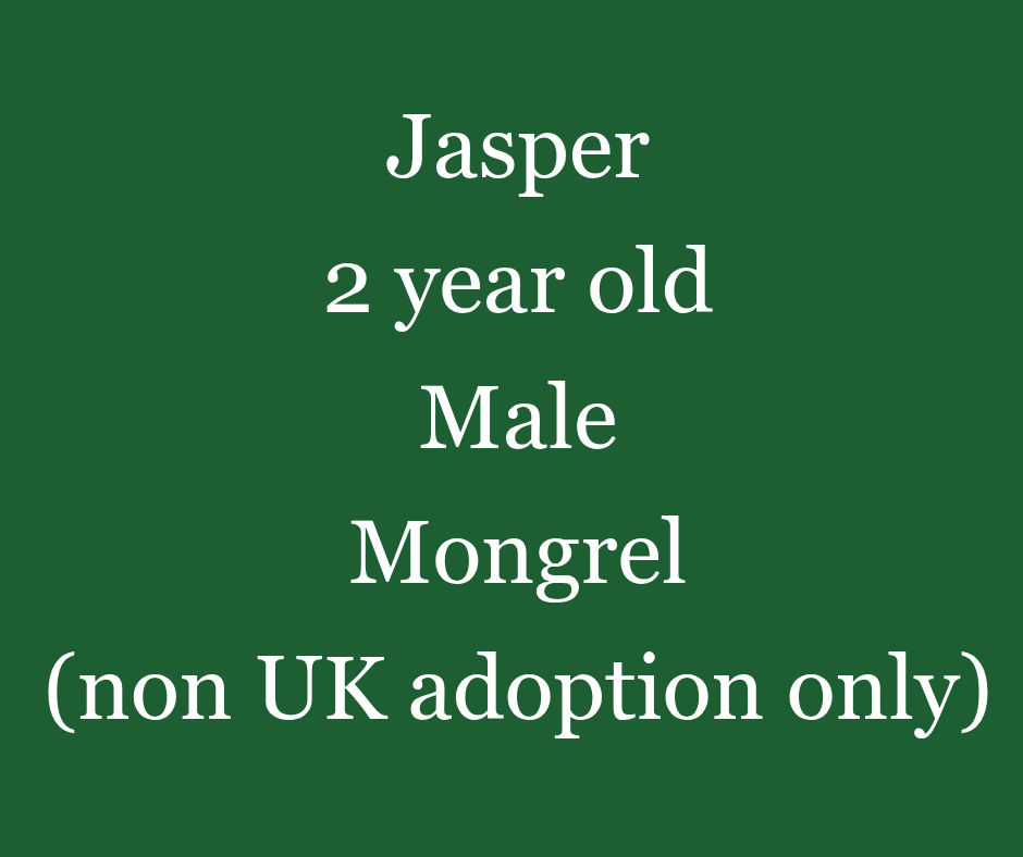 Jasper