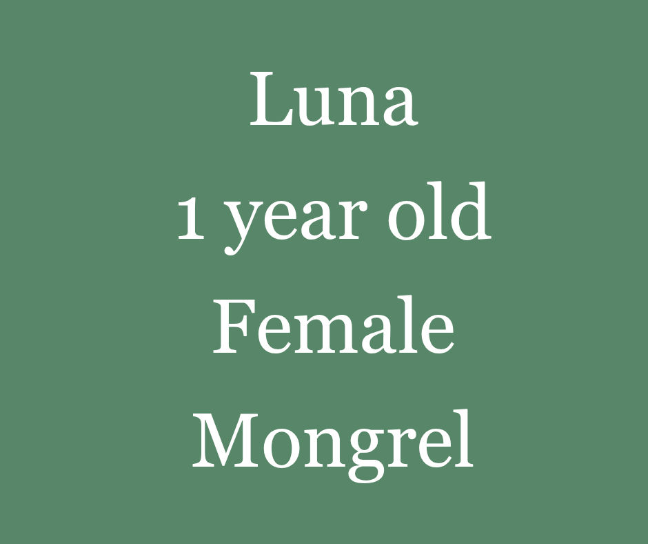 Luna