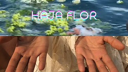 10 Haja Flor.png