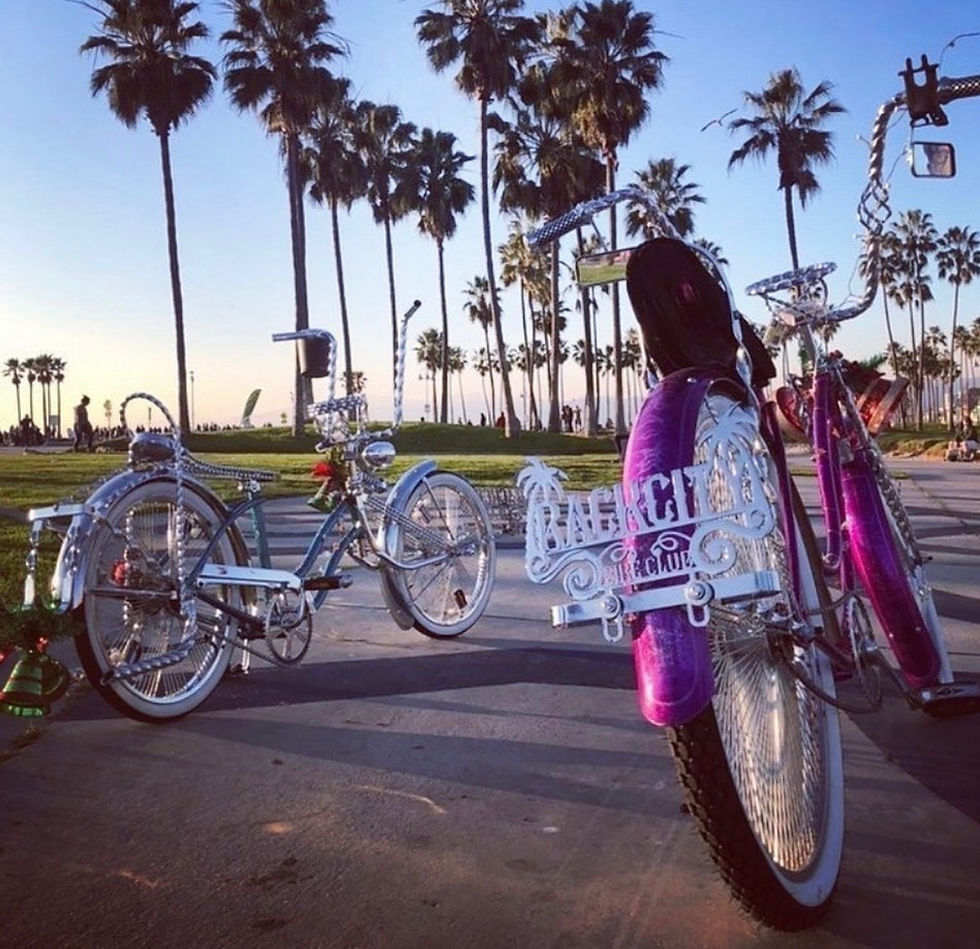 Thumbnail: Chrome Bike Plaques