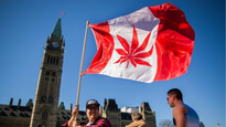 新聞:加拿大大麻合法化