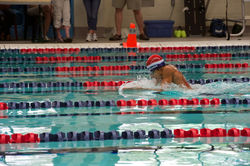 WRASA Swimmer 2