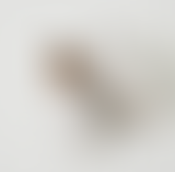 Loafers Femininos de Primavera/Outono – Em Couro Legítimo, Salto Grosso com Plataforma, Bico Quadrad