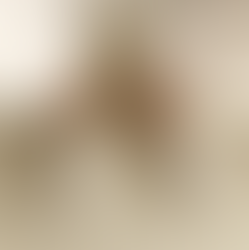 Sapatos Femininos Elegantes de Verão – Estilo Francês, Bico Quadrado, Mary Janes Verdes, Flats Casua