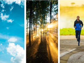 Os 8 remédios Naturais