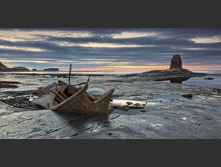 Serene Saltwick copy.jpg