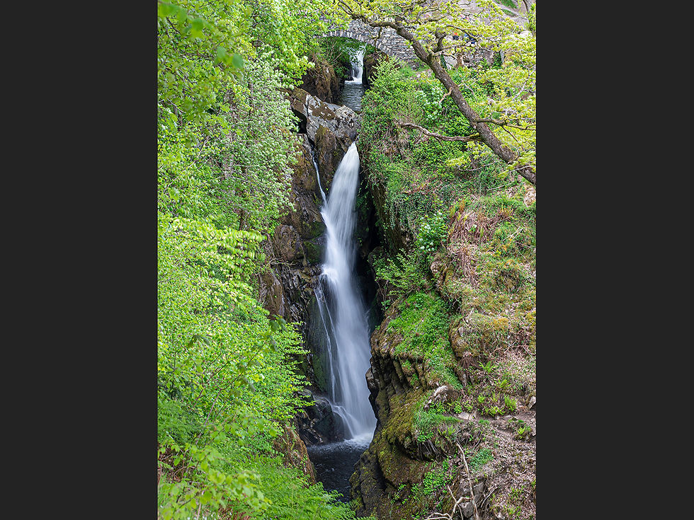 DSC_1933-2