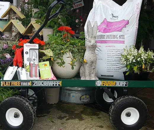 Michigan Peat 1440 Baccto Lite Premium Potting Soil 40quart Want Additional Info Click On The Image Potting Soil Potted Plants Outdoor Soil