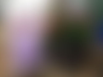 Add Mulch to Containers to Hold Moisture