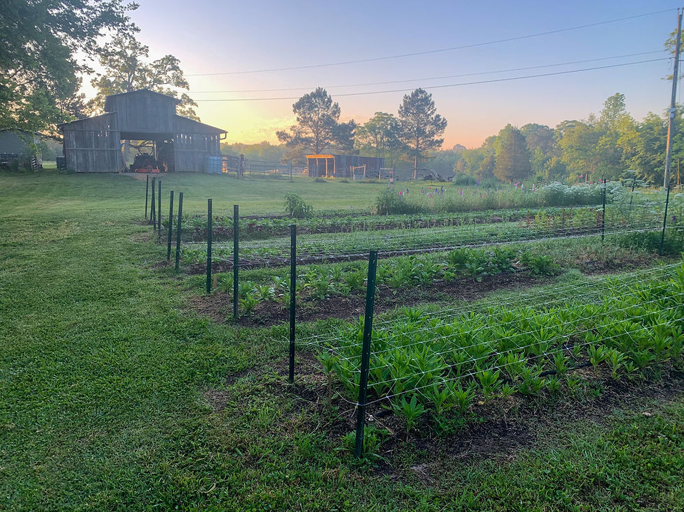Little Bluestem Farm (Photo credit: Little Bluestem Farm)