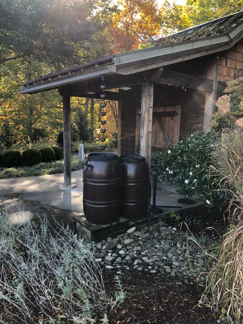 Plastic rain barrels have gotten an upgrade with beautiful new colors