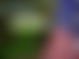 Seeking Landscape Nirvana? Tales from a Landscape Material Girl