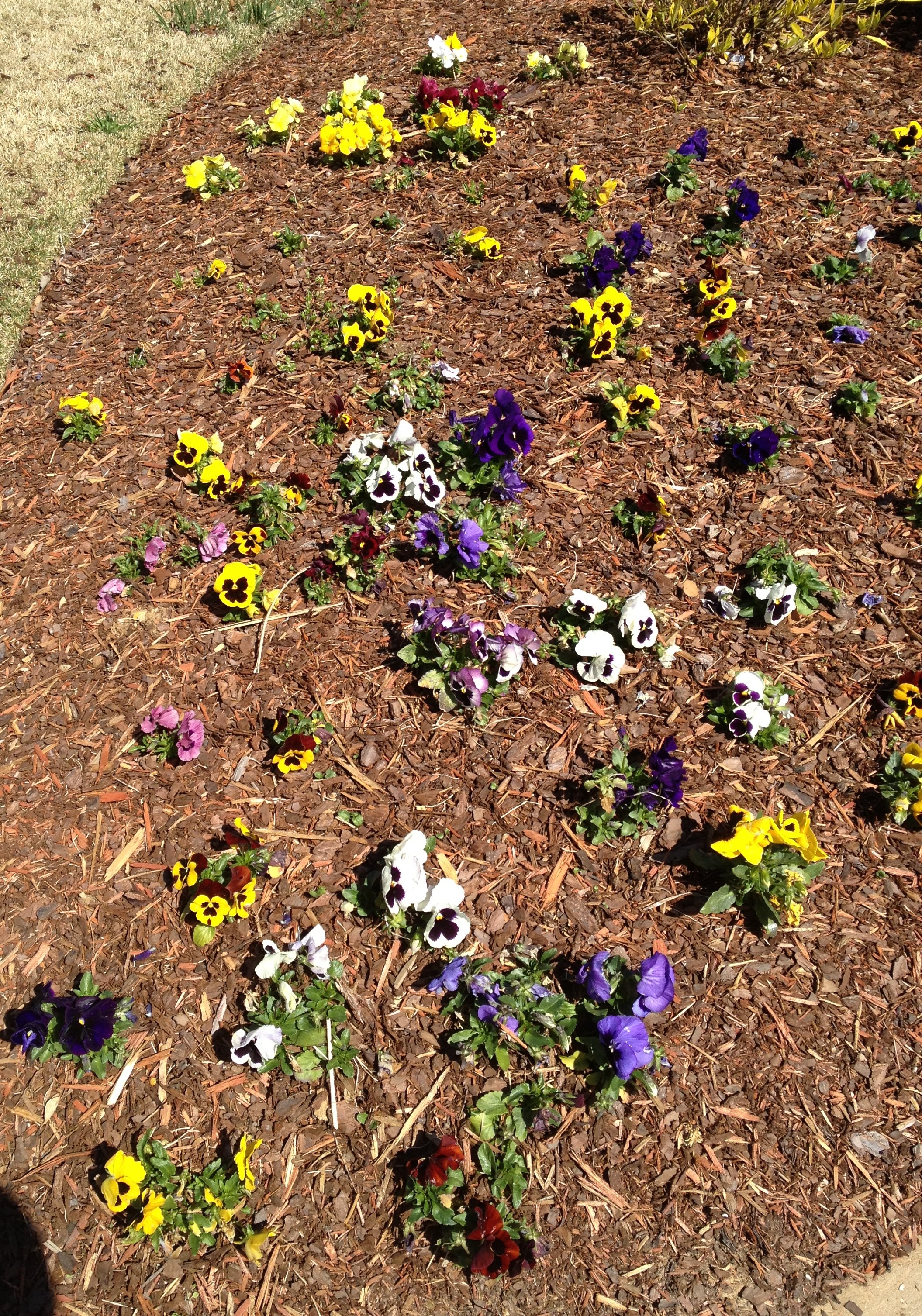 Nitrogen Stabilized Products