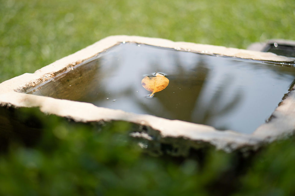 Stay calm and keep it simple with a geometric reflection pond.